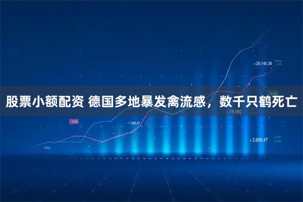股票小额配资 德国多地暴发禽流感，数千只鹤死亡
